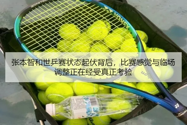 img_1780674679779_64_1_523.jpg